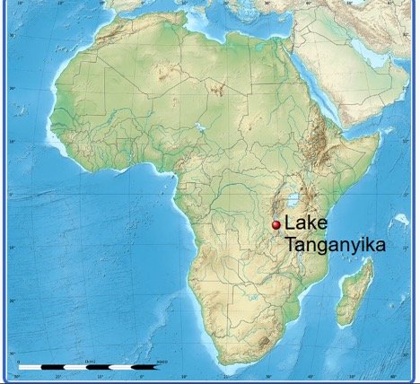 China’s Strategy to Expand Influence through the Lake Tanganyika Trade Corridor